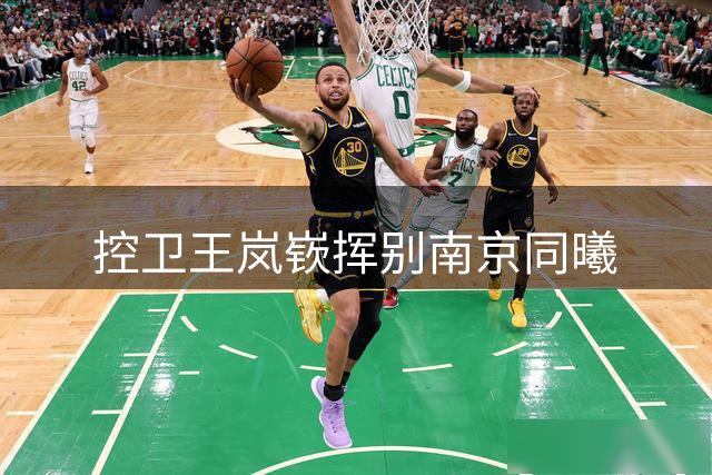控卫王岚嵚挥别南京同曦
